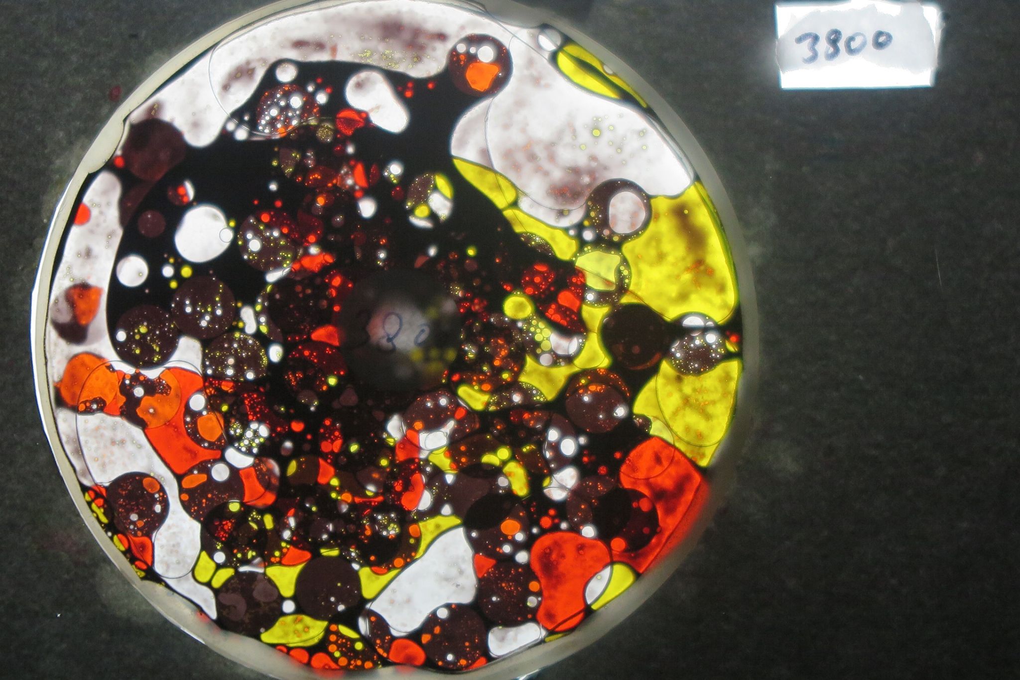 BV3800 bubble vision oil wheel